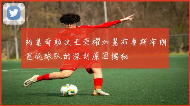 约基奇助攻王荣耀加冕布鲁斯布朗重返球队的深刻原因揭秘