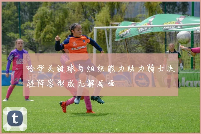 哈登关键球与组织能力助力骑士决胜阵容形成无解局面