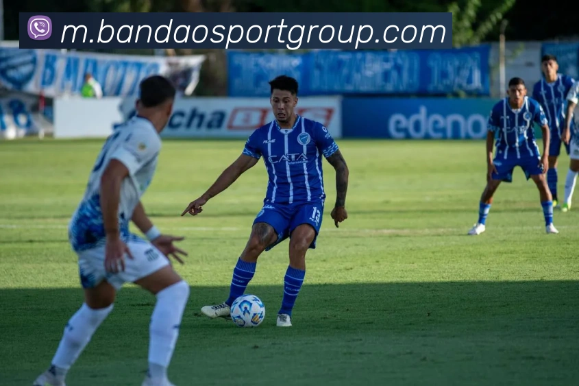 半岛足球体育平台生态图